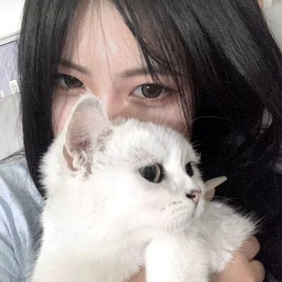 黄金裁决破解版游戏下载